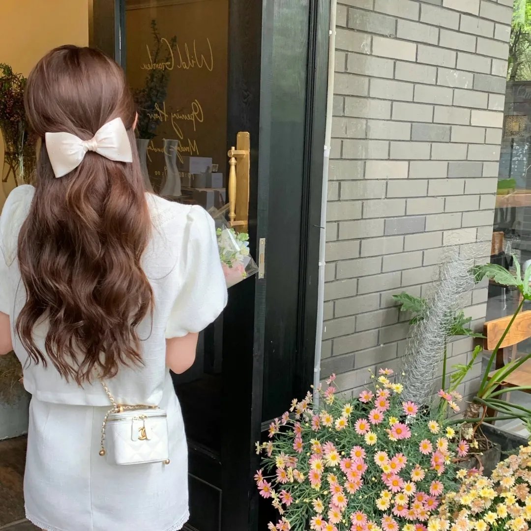星蝶公主第一季